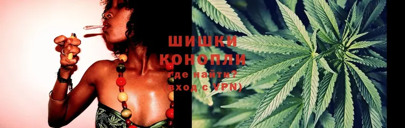 Бошки марихуана SATIVA & INDICA  купить наркотики сайты  Дедовск 